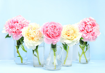 Similar image 21849133