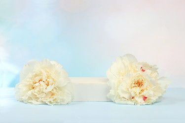 Similar image 21849135