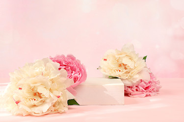 Similar image 21849137