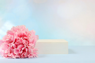 Similar image 21849138