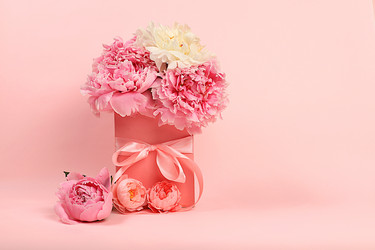 Similar image 21849139