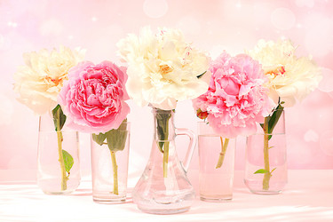 Similar image 21849140