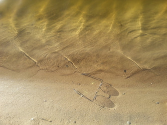 Similar image 21853908