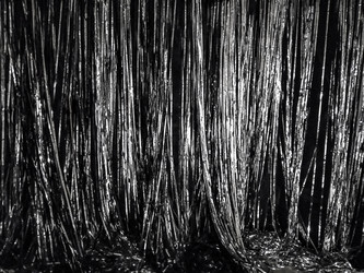 Similar image 21853909