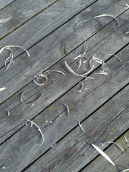 Similar image 21853911