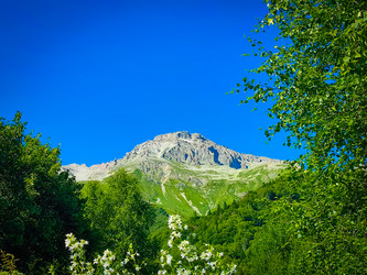 Similar image 21850959