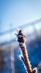 Similar image 21850962