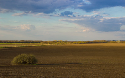 Similar image 21850963