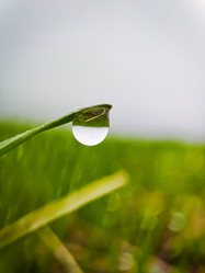 Similar image 21850966