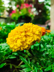 Similar image 21850967