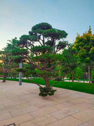 Similar image 21850968