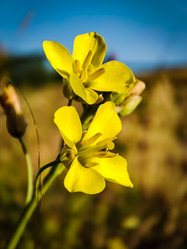 Similar image 21850969