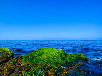 Similar image 21850970