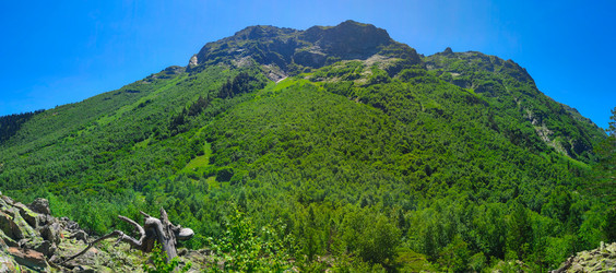 Similar image 21850973