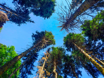 Similar image 21850976