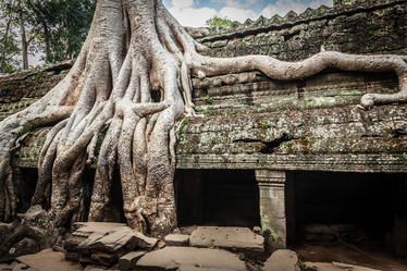 Similar image 21852871