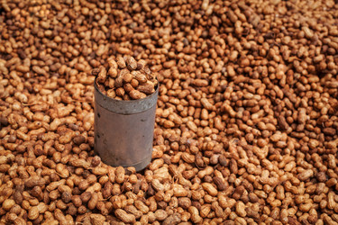 Similar image 21853210