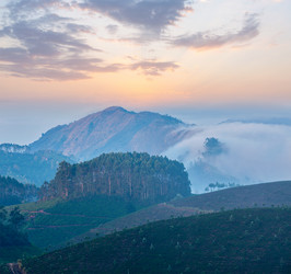 Similar image 21853520