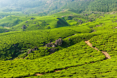 Similar image 21853530