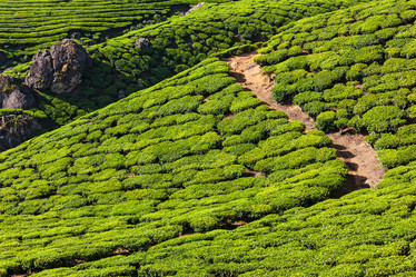 Similar image 21853532