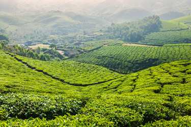 Similar image 21853534