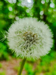 Similar image 21850983