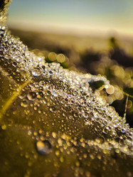 Similar image 21851004