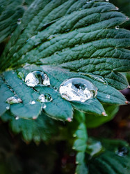 Similar image 21851006