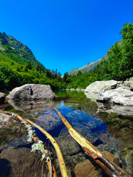 Similar image 21851011