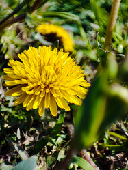 Similar image 21851014