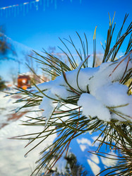 Similar image 21851015