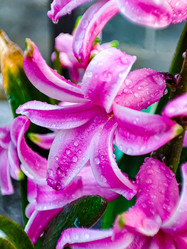 Similar image 21851016