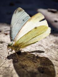 Similar image 21851020