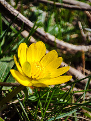 Similar image 21851024