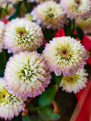 Similar image 21851026