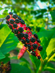 Similar image 21851028