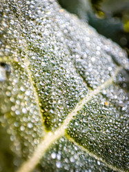 Similar image 21851031