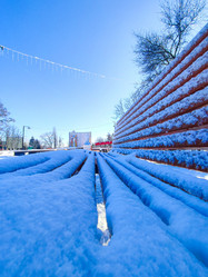 Similar image 21851034