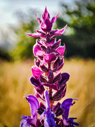 Similar image 21851035