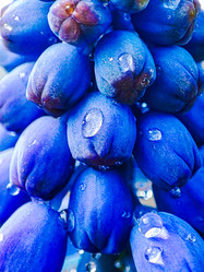 Similar image 21851036