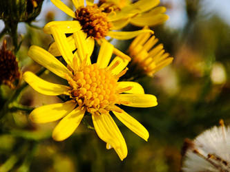 Similar image 21851040