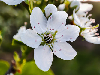 Similar image 21851041