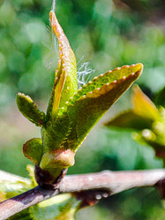 Similar image 21851043