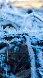 Similar image 21851044