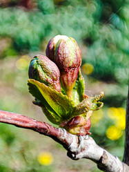 Similar image 21851045