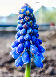 Similar image 21851046