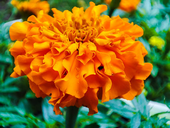 Similar image 21851047