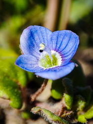 Similar image 21851049