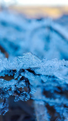 Similar image 21851051