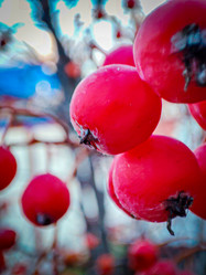 Similar image 21851052